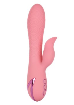 Pasadena Player Pink CalExotics