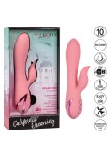 Pasadena Player Pink CalExotics Pasadena Player Pink CalExotics