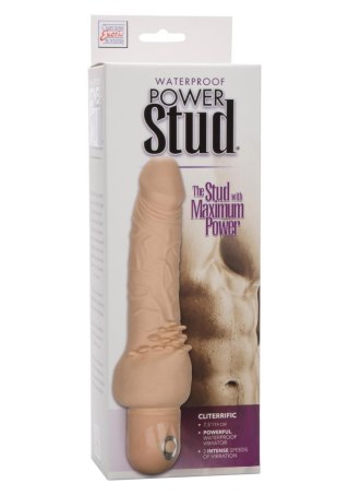 Power Stud Cliterrific Light skin tone CalExotics