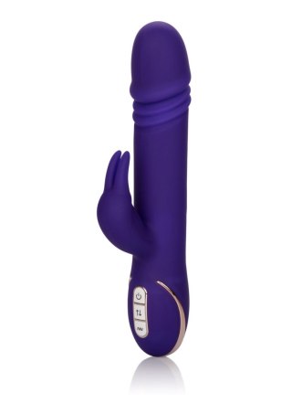 Thrusting Rabbit Signature Purple CalExotics