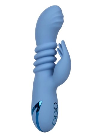 Santa Cruz Coaster Blue CalExotics