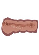 Super Wet Travel Beaver Brown skin tone Hidden Desire Super Wet Travel Beaver Brown skin tone Hidden Desire