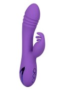 West Coast Wave Rider Purple CalExotics West Coast Wave Rider Purple CalExotics