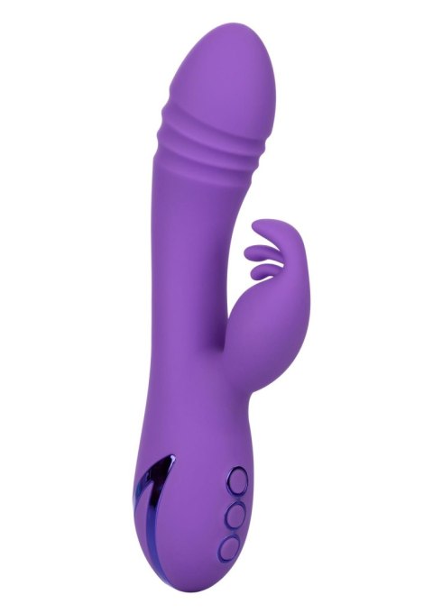 West Coast Wave Rider Purple CalExotics West Coast Wave Rider Purple CalExotics