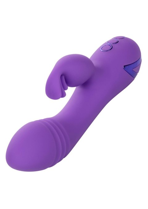 West Coast Wave Rider Purple CalExotics West Coast Wave Rider Purple CalExotics