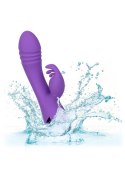 West Coast Wave Rider Purple CalExotics West Coast Wave Rider Purple CalExotics