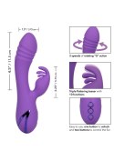 West Coast Wave Rider Purple CalExotics West Coast Wave Rider Purple CalExotics