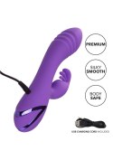 West Coast Wave Rider Purple CalExotics West Coast Wave Rider Purple CalExotics