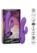 West Coast Wave Rider Purple CalExotics West Coast Wave Rider Purple CalExotics