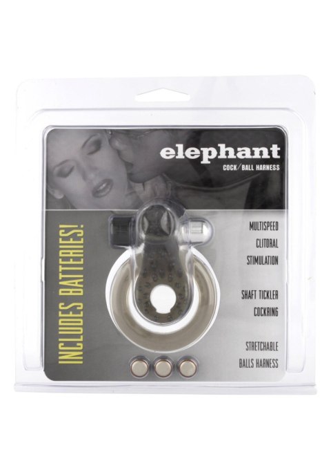 Cock & Ball Ring Elephant Transparent Seven Creations Cock & Ball Ring Elephant Transparent Seven Creations