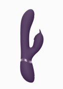 Aimi - Purple Vive Aimi - Purple Vive