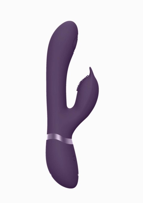 Aimi - Purple Vive Aimi - Purple Vive