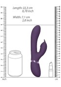 Aimi - Purple Vive Aimi - Purple Vive