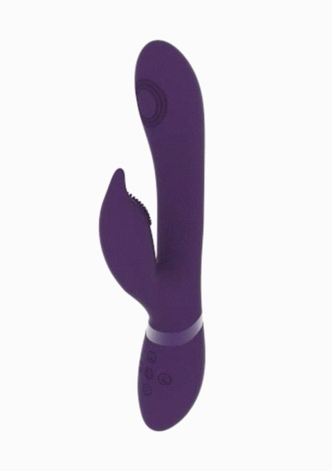 Aimi - Purple Vive Aimi - Purple Vive