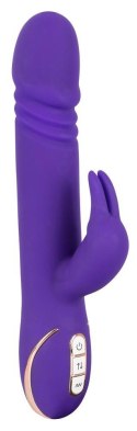 Rabbit Skater Purple Vibe Couture Rabbit Skater Purple Vibe Couture