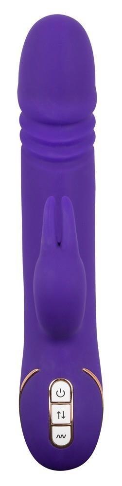Rabbit Skater Purple Vibe Couture Rabbit Skater Purple Vibe Couture