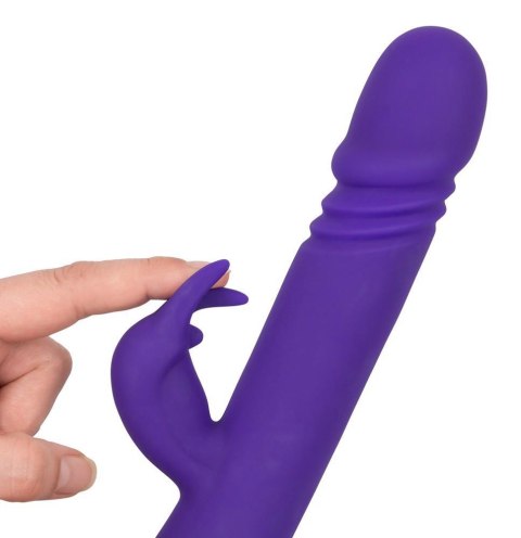 Rabbit Skater Purple Vibe Couture Rabbit Skater Purple Vibe Couture