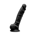 Model 1 (8'') Black BOX Silexd Model 1 (8'') Black BOX Silexd