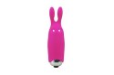 Stymulator-Wibrator - Lastic pocket vibe RabbitPink Adrien Lastic Stymulator-Wibrator - Lastic pocket vibe RabbitPink Adrien Lastic