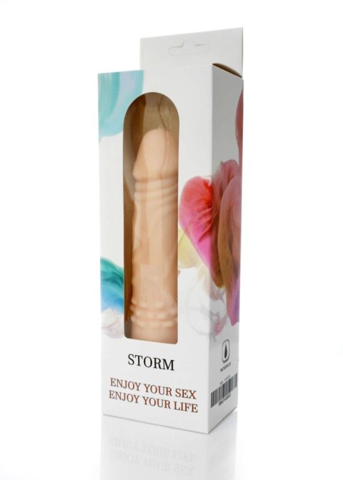 Wibrator-STORM-12 function vibrator B - Series Weather Wibrator-STORM-12 function vibrator B - Series Weather