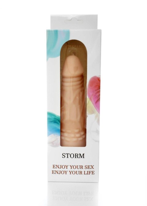 Wibrator-STORM-12 function vibrator B - Series Weather Wibrator-STORM-12 function vibrator B - Series Weather
