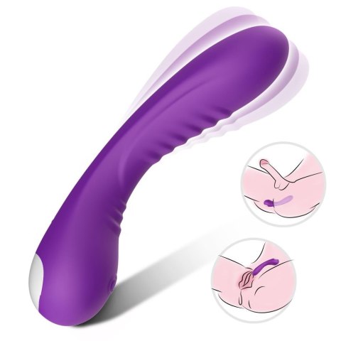 Legend purple B - Series Joy Legend purple B - Series Joy