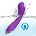 Legend purple B - Series Joy Legend purple B - Series Joy