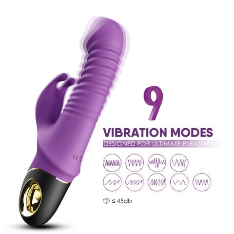 Zing purple B - Series Joy Zing purple B - Series Joy