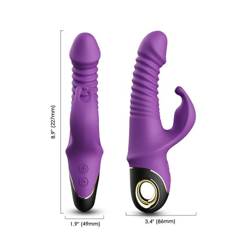 Zing purple B - Series Joy Zing purple B - Series Joy