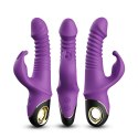 Zing purple B - Series Joy Zing purple B - Series Joy