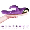 Zing purple B - Series Joy Zing purple B - Series Joy