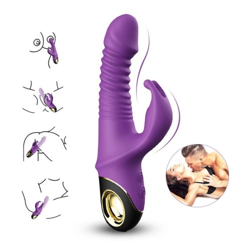 Zing purple B - Series Joy Zing purple B - Series Joy