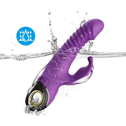 Zing purple B - Series Joy Zing purple B - Series Joy