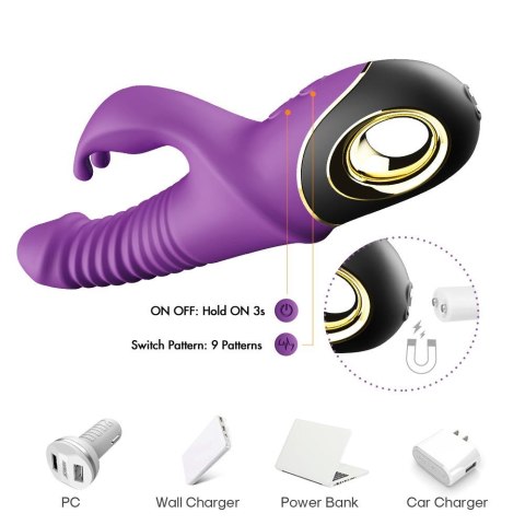 Zing purple B - Series Joy Zing purple B - Series Joy