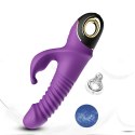 Zing purple B - Series Joy Zing purple B - Series Joy