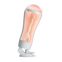 CRAZY BULL - Flora, Suction base Crazy Bull CRAZY BULL - Flora, Suction base Crazy Bull