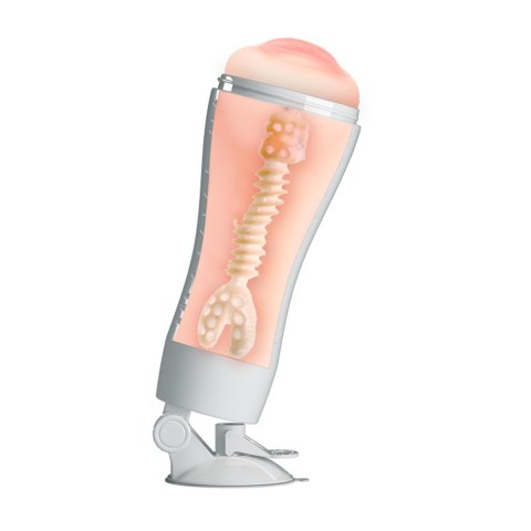 CRAZY BULL - Flora, Suction base Crazy Bull CRAZY BULL - Flora, Suction base Crazy Bull
