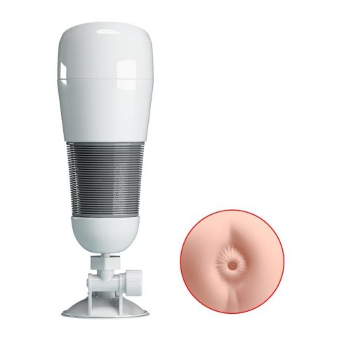 PRETTY LOVE -HEDY, Suction base Pretty Love PRETTY LOVE -HEDY, Suction base Pretty Love