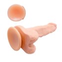 BAILE- BARBARA Max 6,7'' Baile BAILE- BARBARA Max 6,7'' Baile