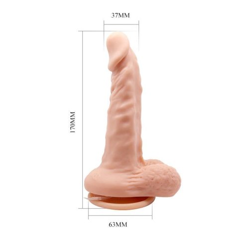 BAILE- BARBARA Max 6,7'' Baile BAILE- BARBARA Max 6,7'' Baile