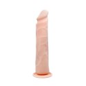 BAILE - Flexible Real Penis Baile BAILE - Flexible Real Penis Baile