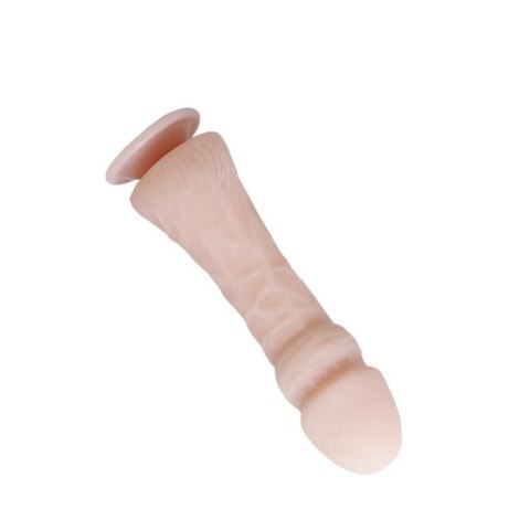 BAILE - The Big Penis Baile BAILE - The Big Penis Baile