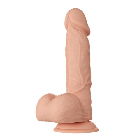 BAILE-Beautiful Bahamut 8.5"""" Baile BAILE-Beautiful Bahamut 8.5"""" Baile