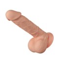 BAILE-Beautiful Bahamut 8.5"""" Baile BAILE-Beautiful Bahamut 8.5"""" Baile