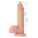 BAILE-Beautiful Bahamut 8.5"""" Baile BAILE-Beautiful Bahamut 8.5"""" Baile