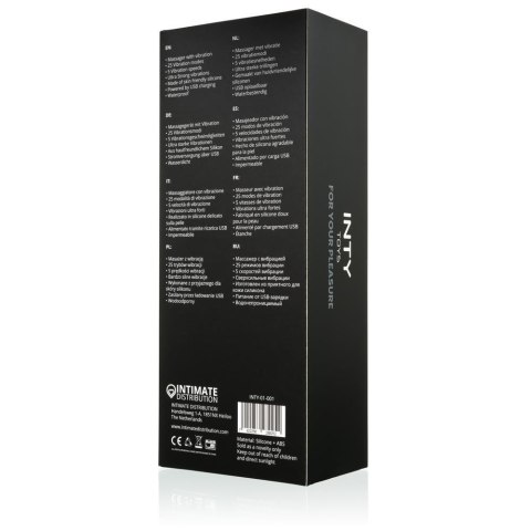 INTY Toys - Torch INTY Toys INTY Toys - Torch INTY Toys