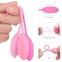 Kulki- Palline Vaginali Training Pleasure Toyz4lovers Kulki- Palline Vaginali Training Pleasure Toyz4lovers