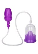 Intimate Pump Purple CalExotics Intimate Pump Purple CalExotics