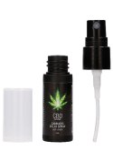 CBD Cannabis Delay Spray - 15 ml Pharmquests CBD Cannabis Delay Spray - 15 ml Pharmquests