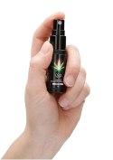 CBD Cannabis Pheromone Stimulator For Her - 15ml Pharmquests CBD Cannabis Pheromone Stimulator For Her - 15ml Pharmquests